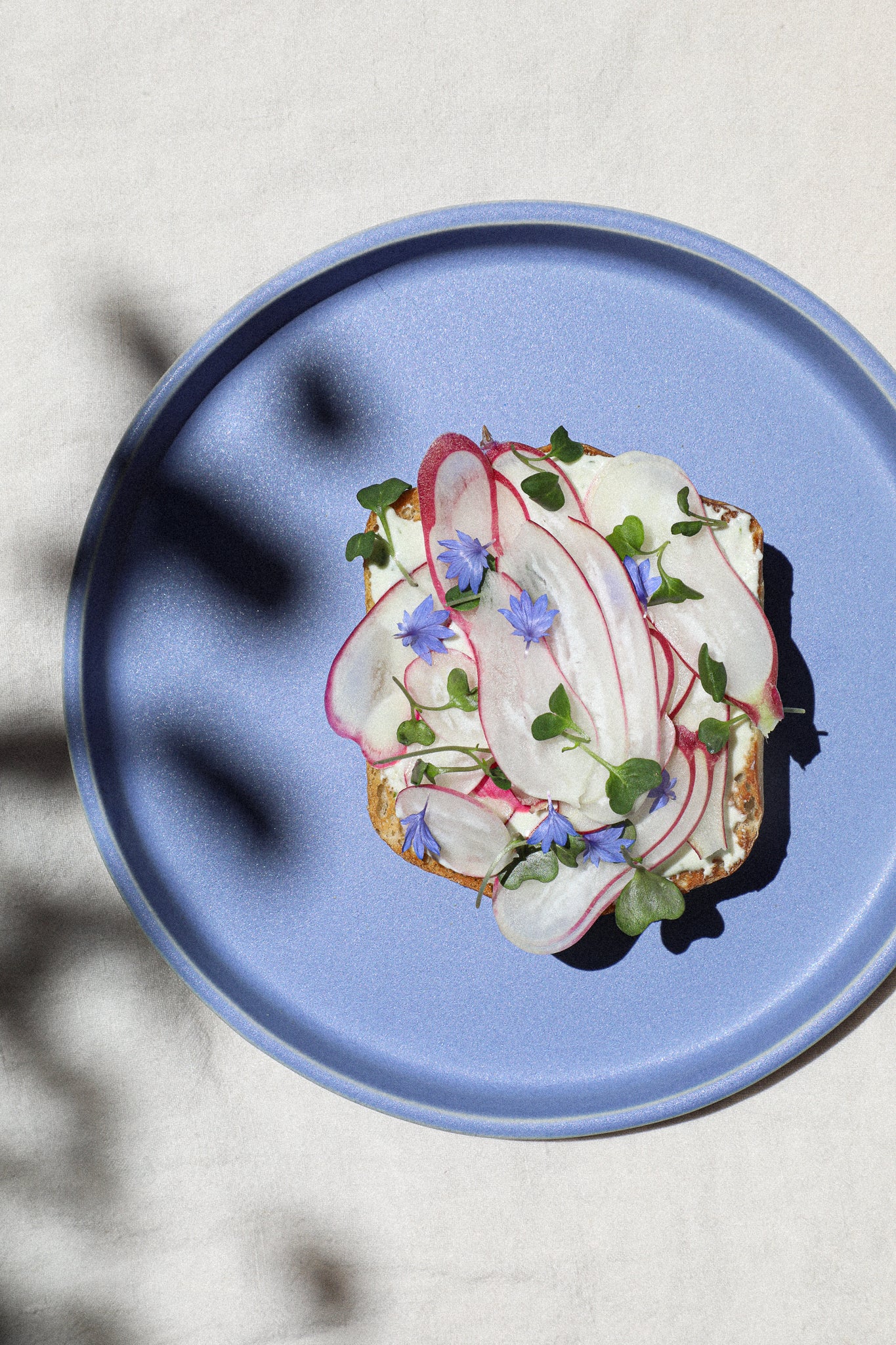 8.5" Plate / Forget Me Not