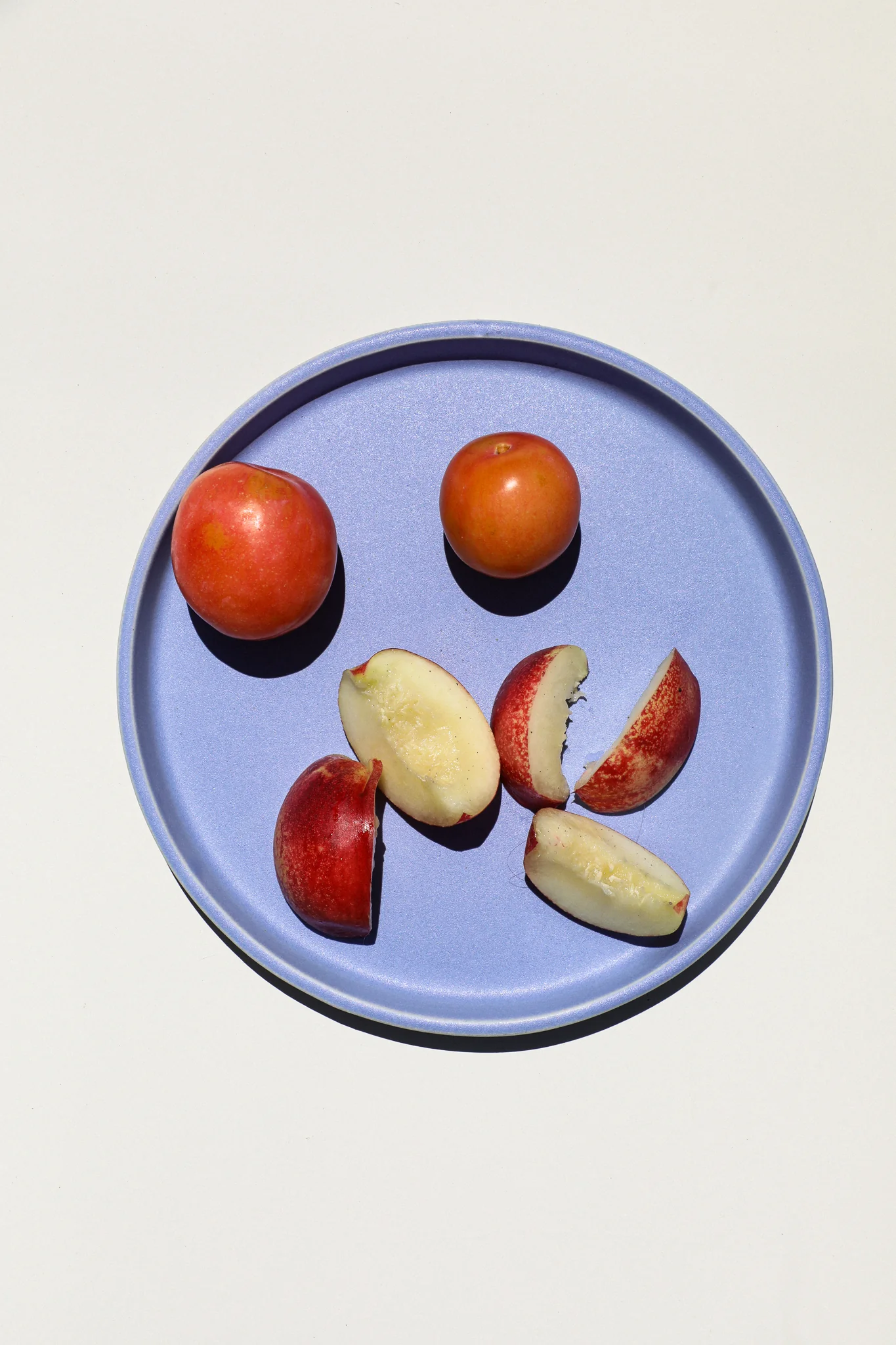 8.5" Plate / Forget Me Not - Image 4