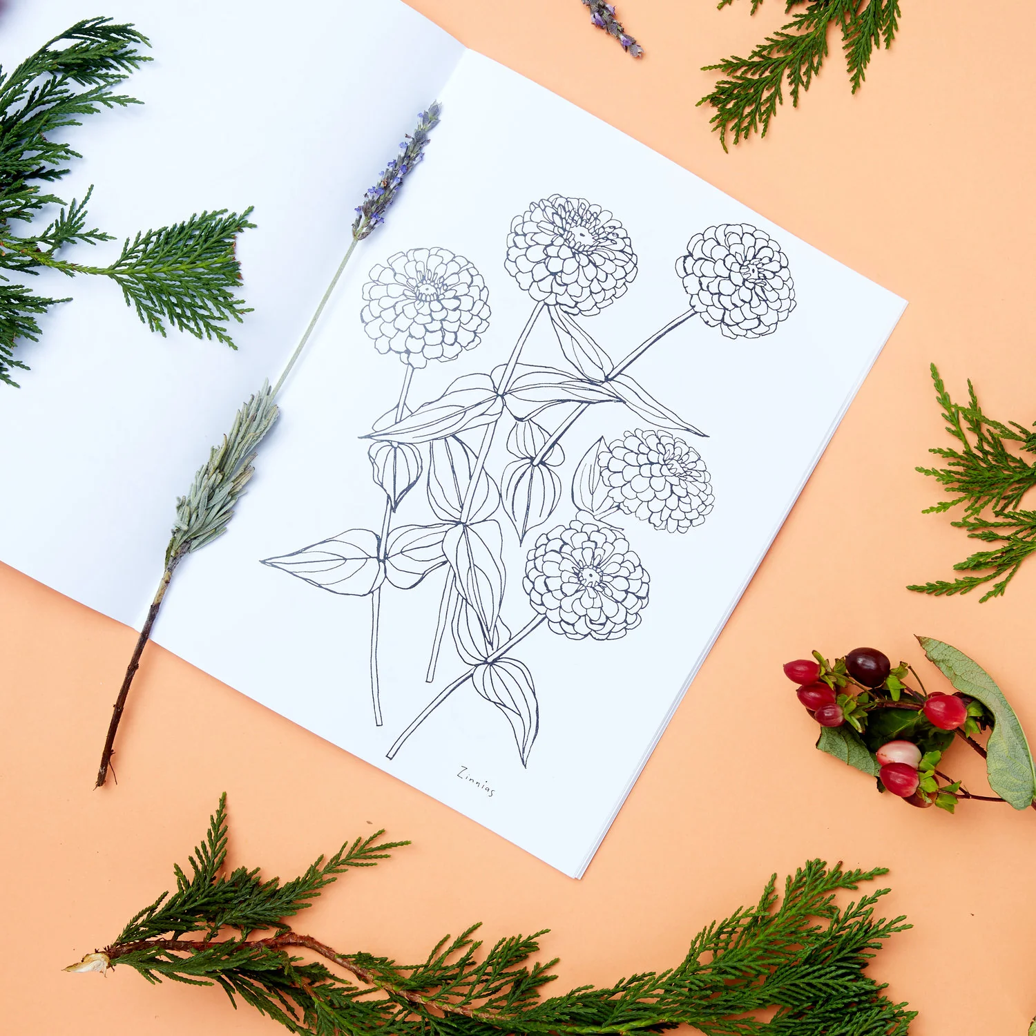 Buds Along the Path Coloring Book - Image 4