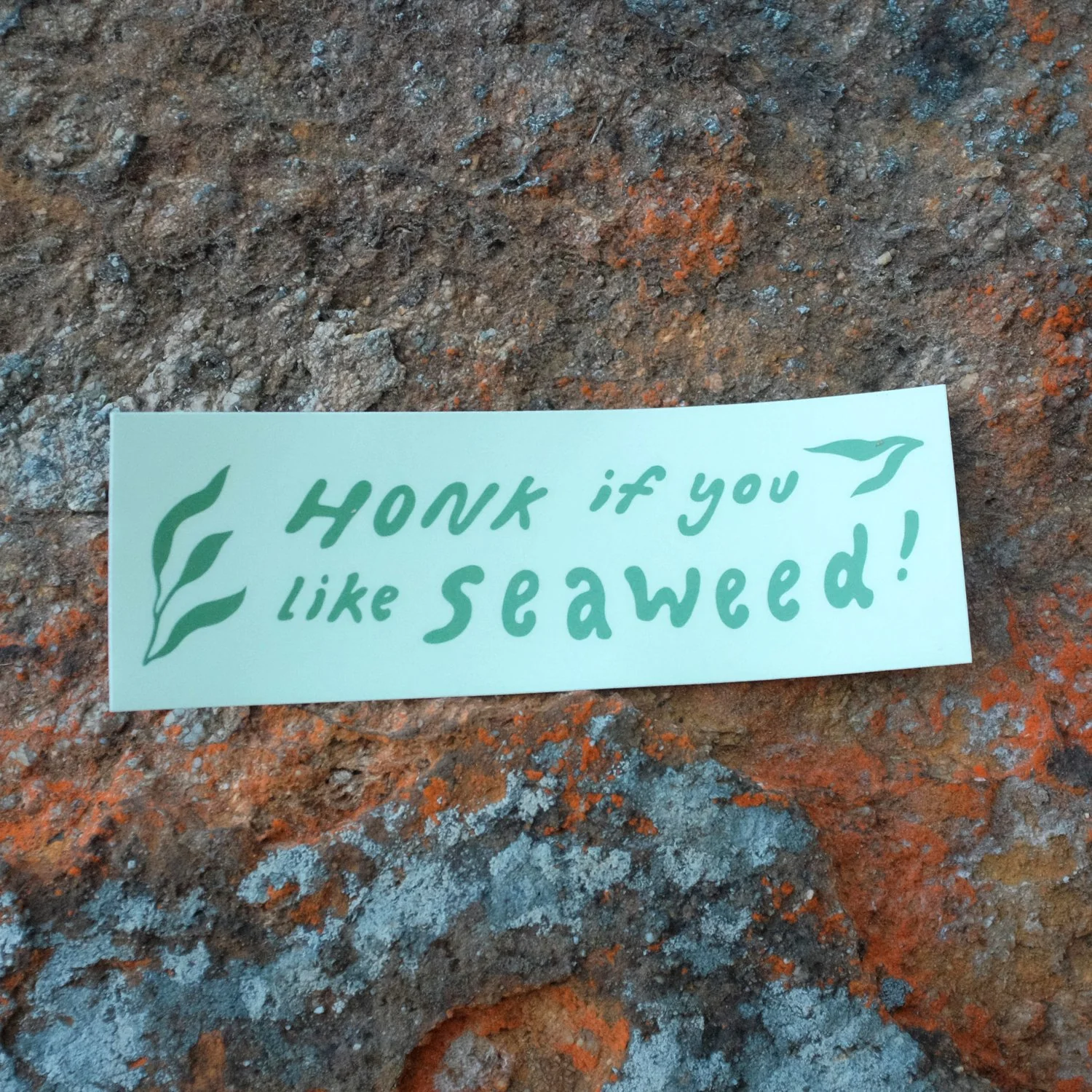 Bumper Stickers - Image 17