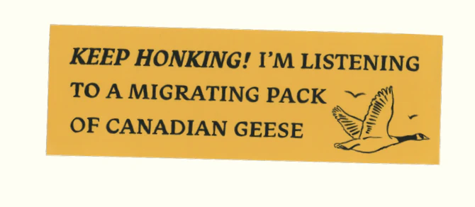 Bumper Stickers - Image 21