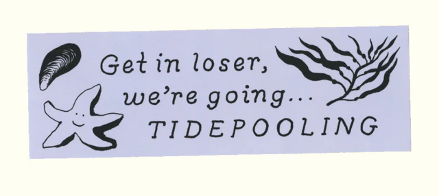 Bumper Stickers - Image 22