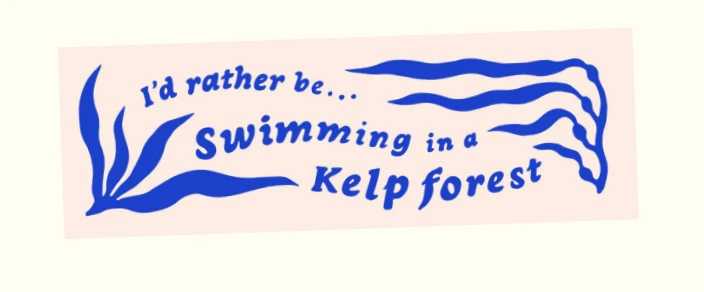Bumper Stickers - Image 23