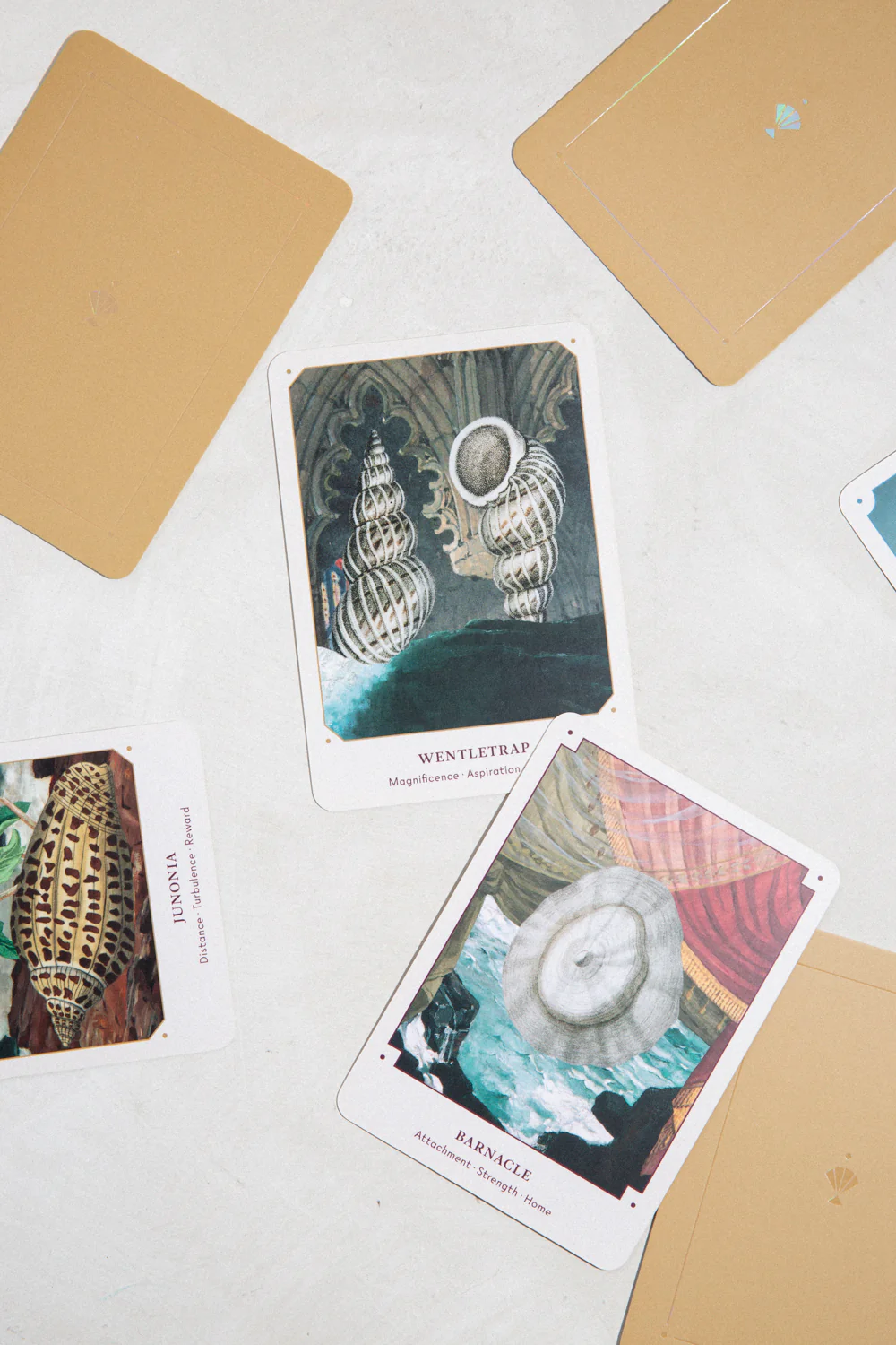 Seashell Oracle Deck - Image 2