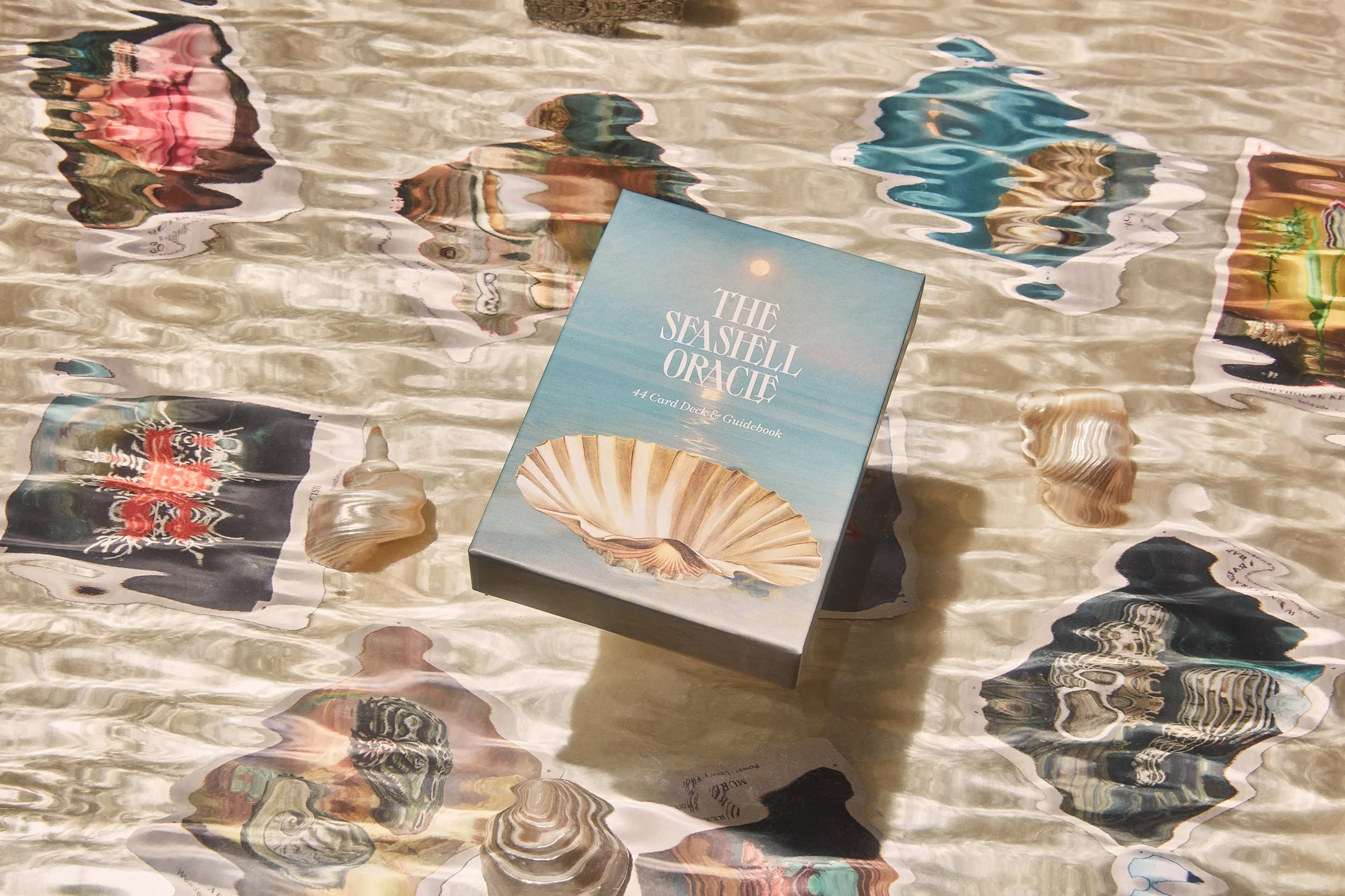 Seashell Oracle Deck - Image 3