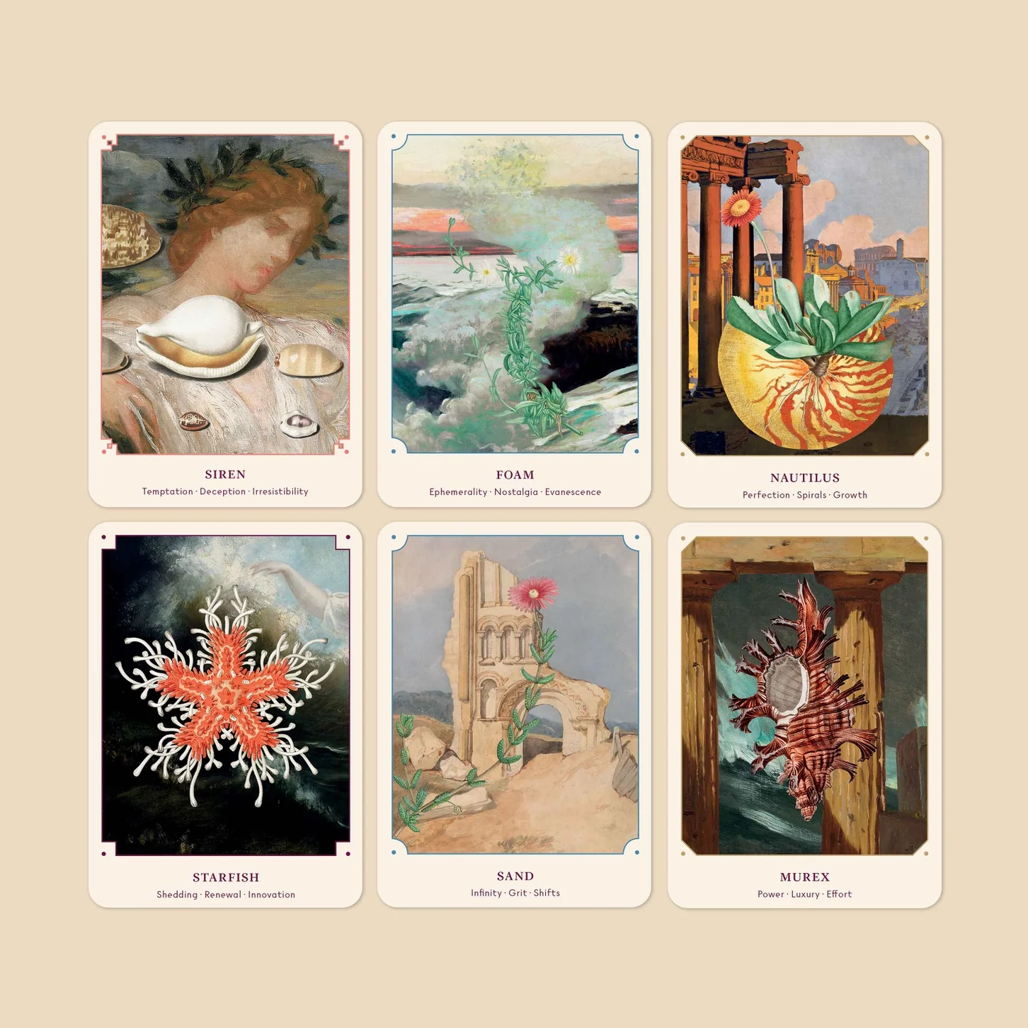 Seashell Oracle Deck - Image 5