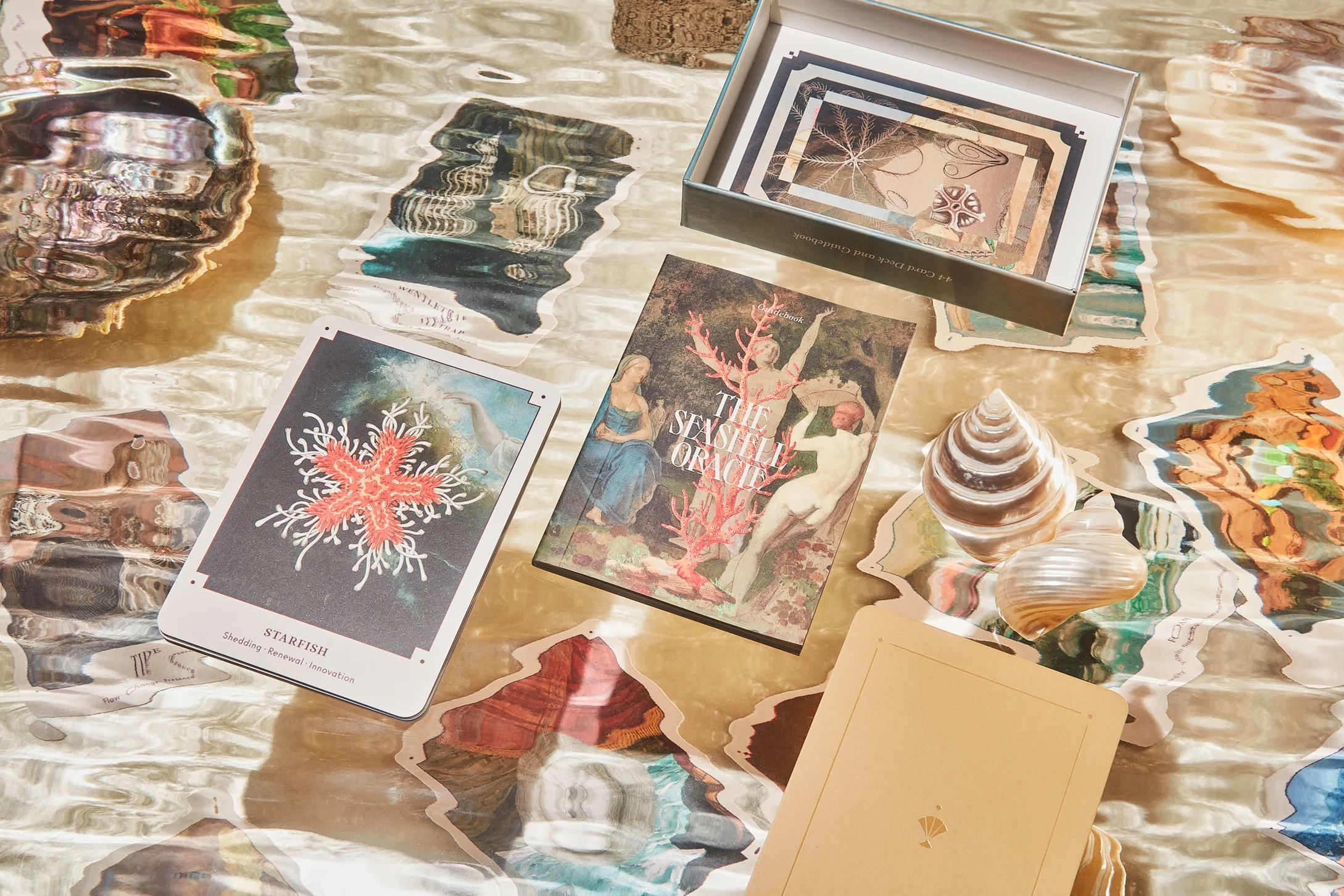 Seashell Oracle Deck - Image 6