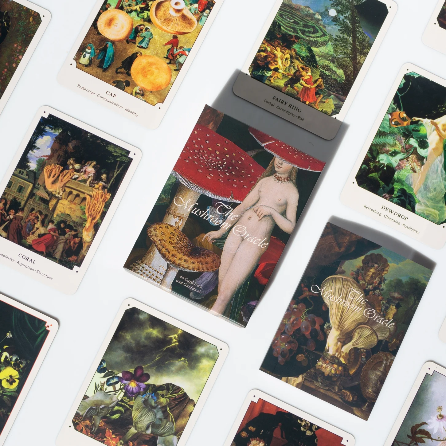 Mushroom Oracle Deck - Image 5