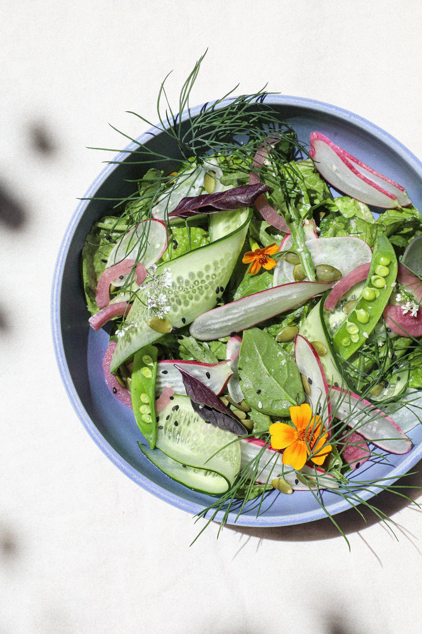 Dinner Bowl / Forget Me Not - Image 2