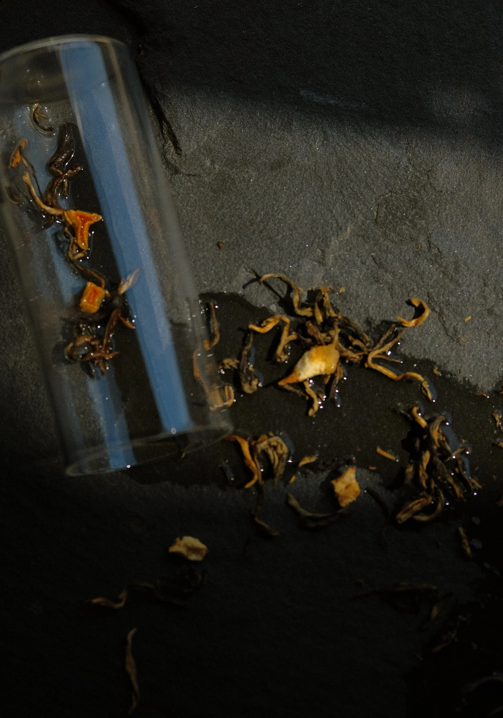 Earl Grey Tea - Image 4
