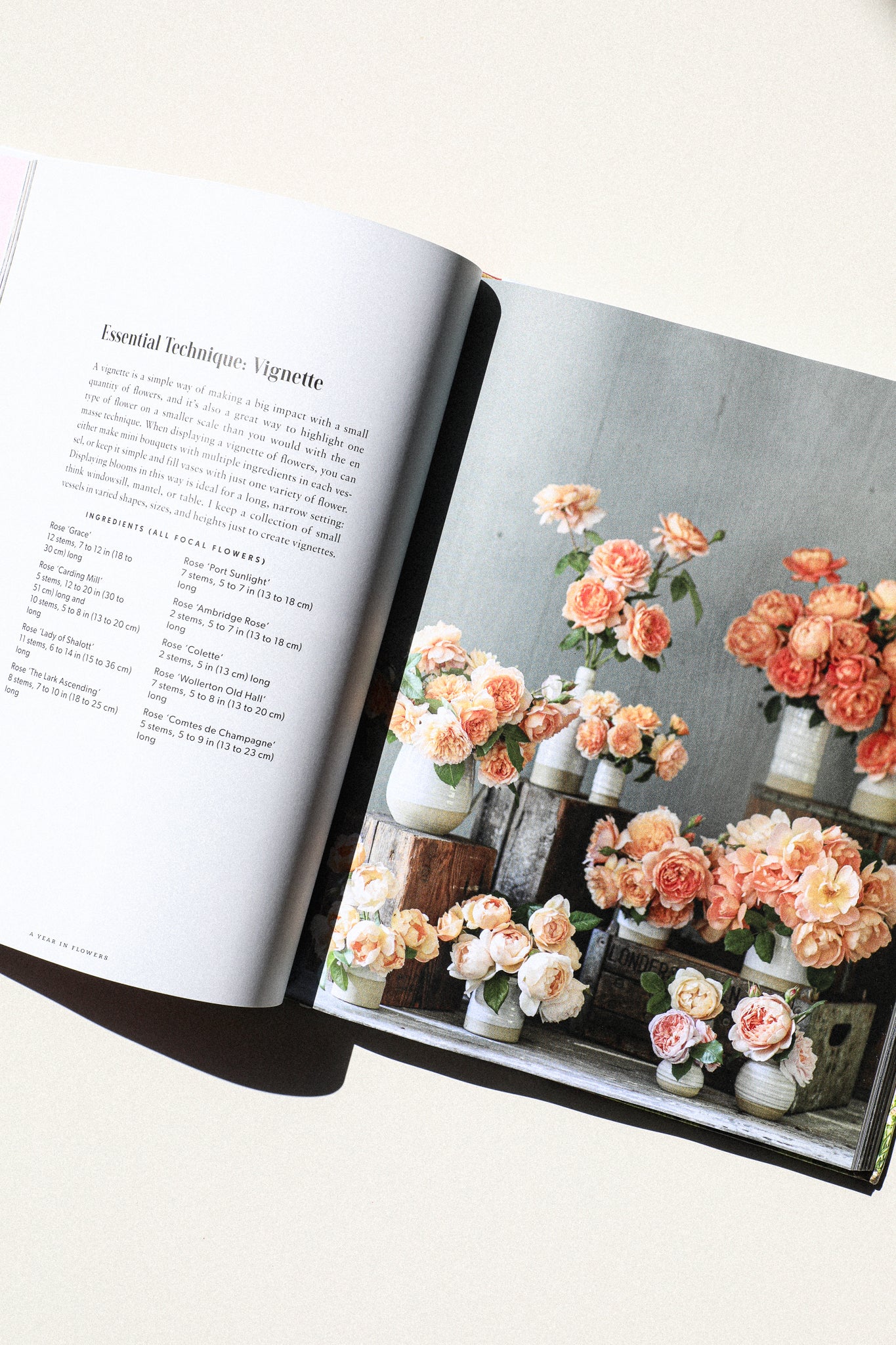 Floret Farm's A Year in Flowers: Designing Gorgeous Arrangements for Every Season - Image 2