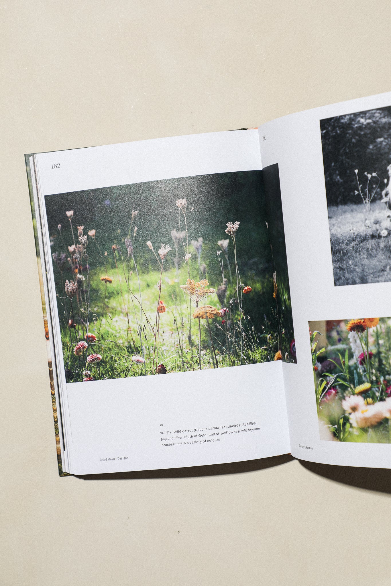 Flowers Forever - Image 2