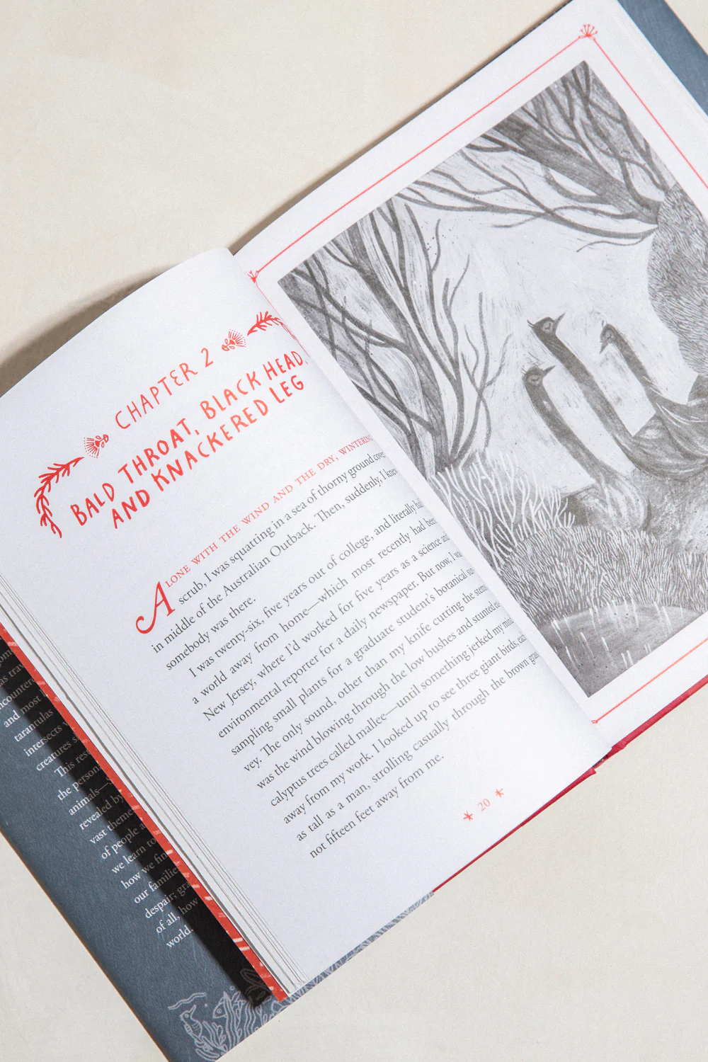 How to Be A Good Creature: A Memoir in Thirteen Animals - Image 2