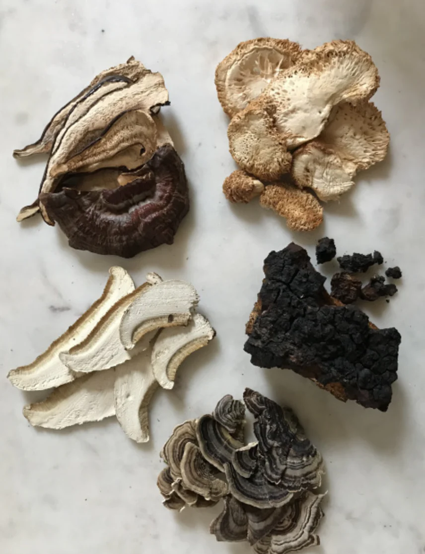 Mushroom Maple Syrup - Image 2