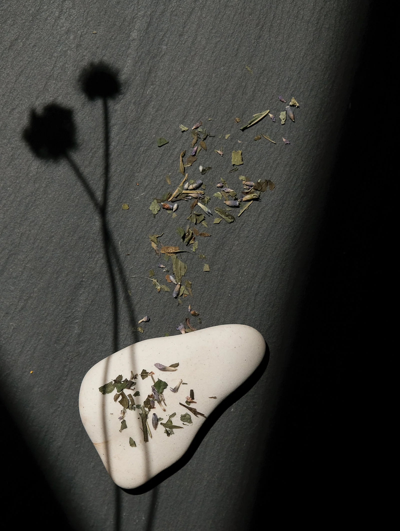 Serenitas Tea - Image 2