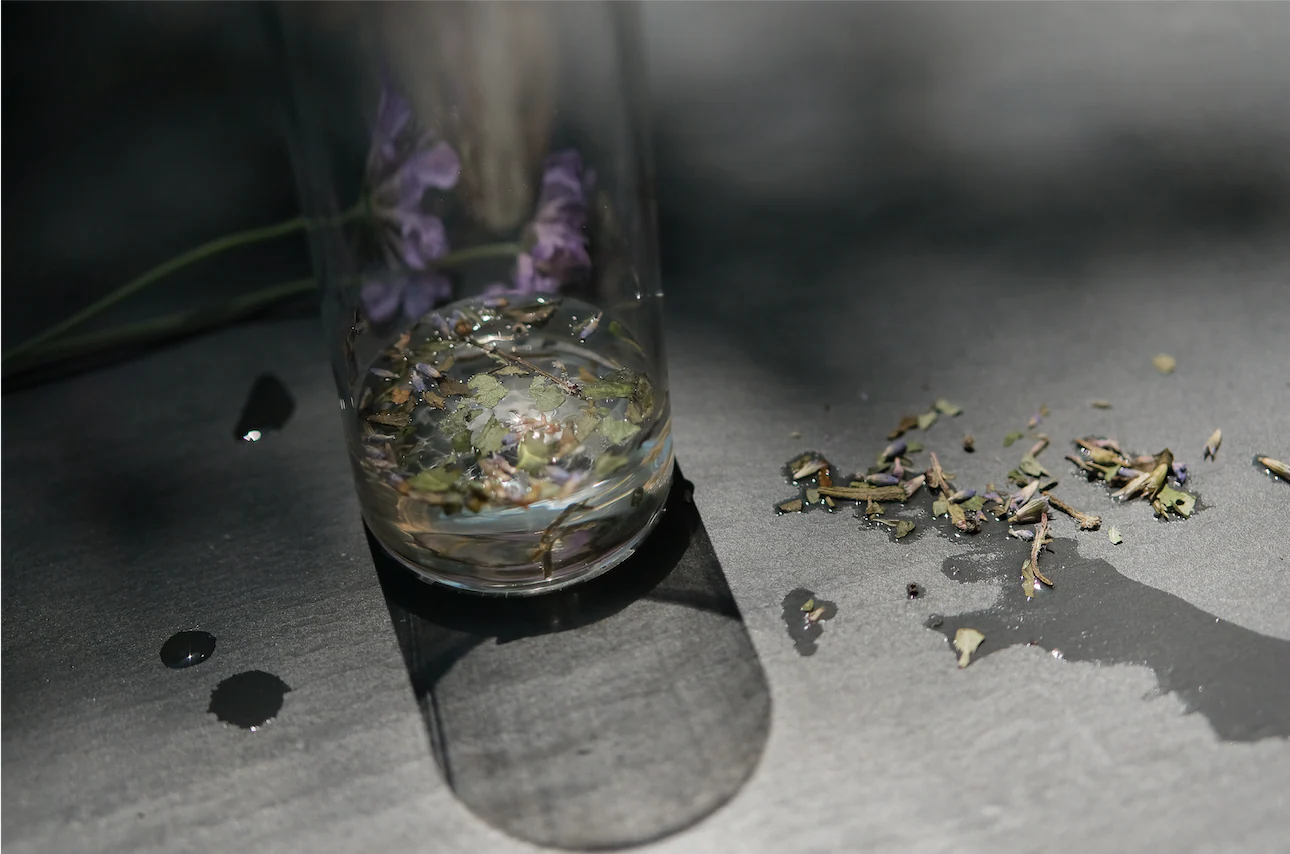 Serenitas Tea - Image 3