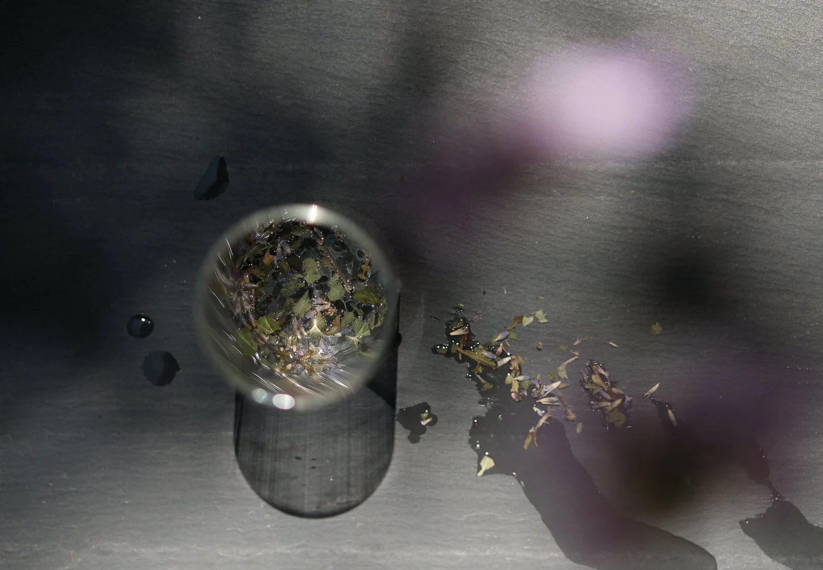 Serenitas Tea - Image 4