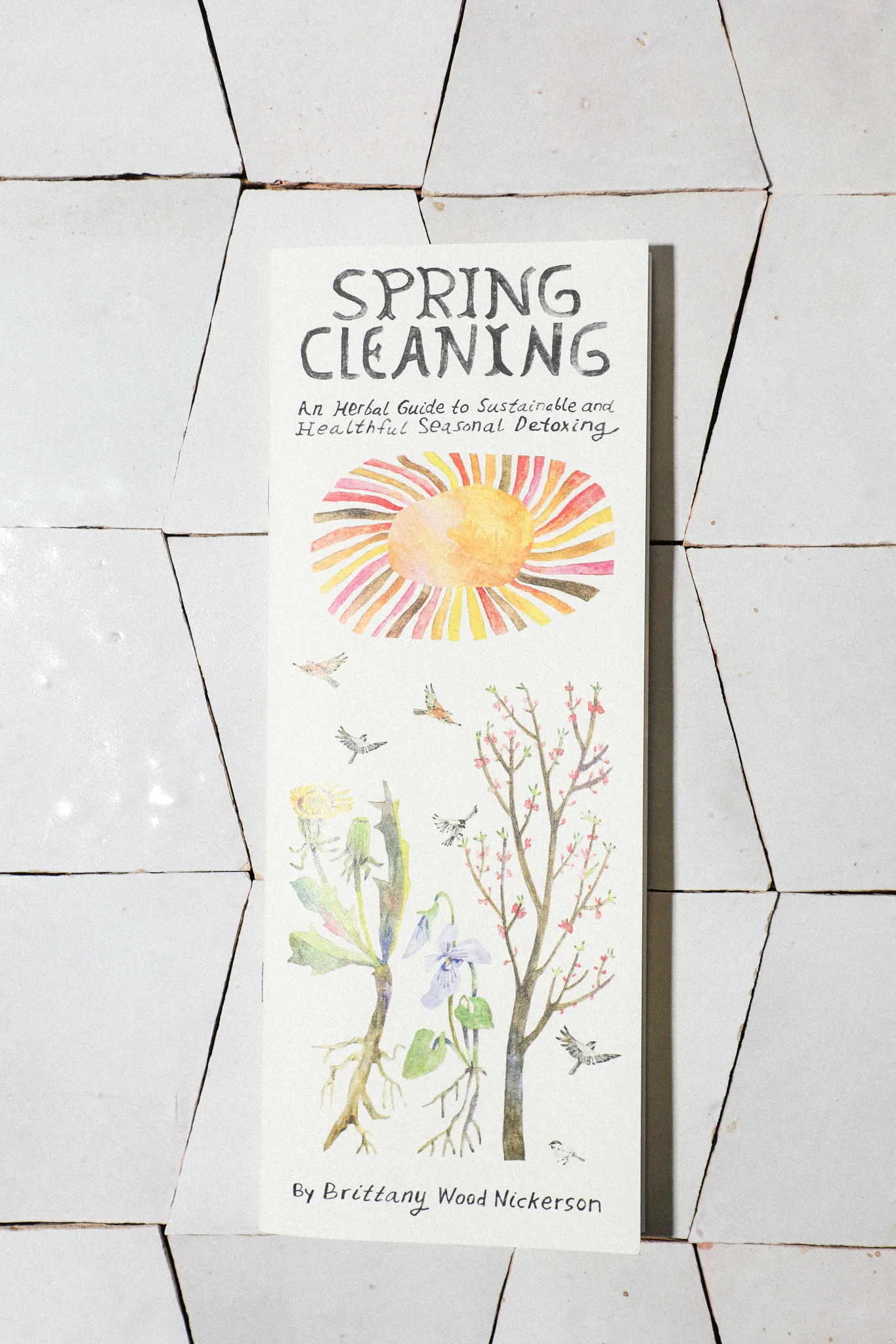 Spring Cleaning Zine