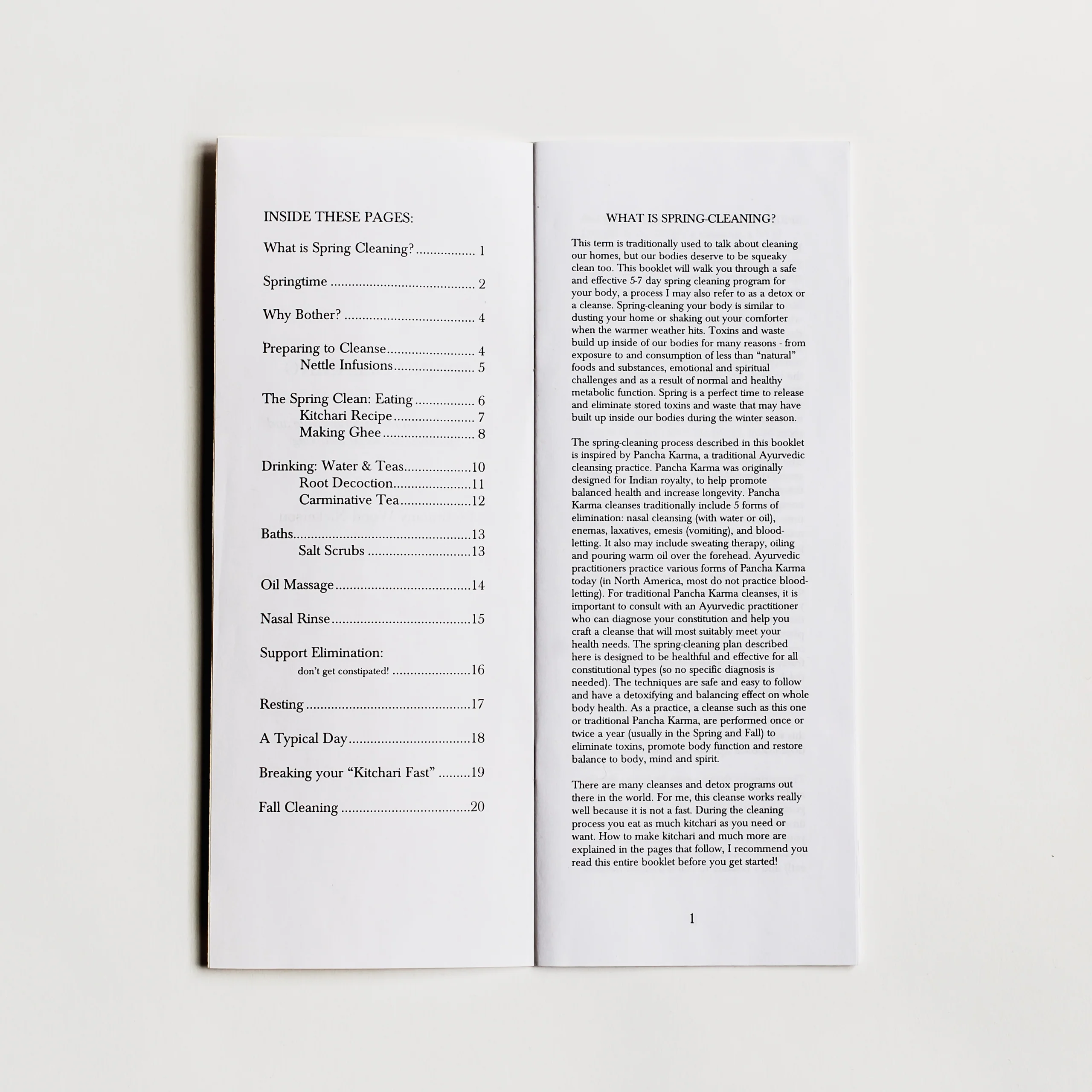 Spring Cleaning Zine - Image 2