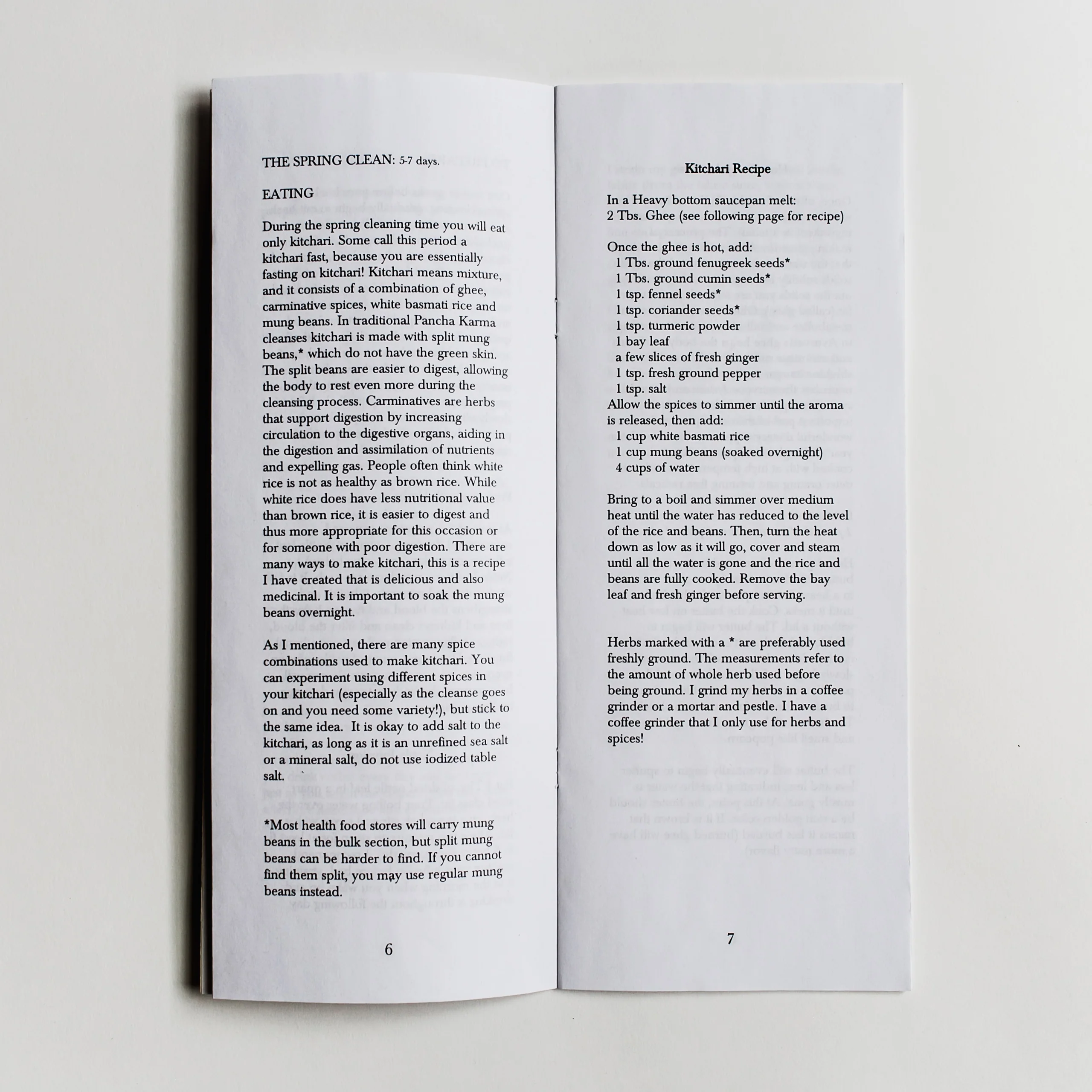 Spring Cleaning Zine - Image 3