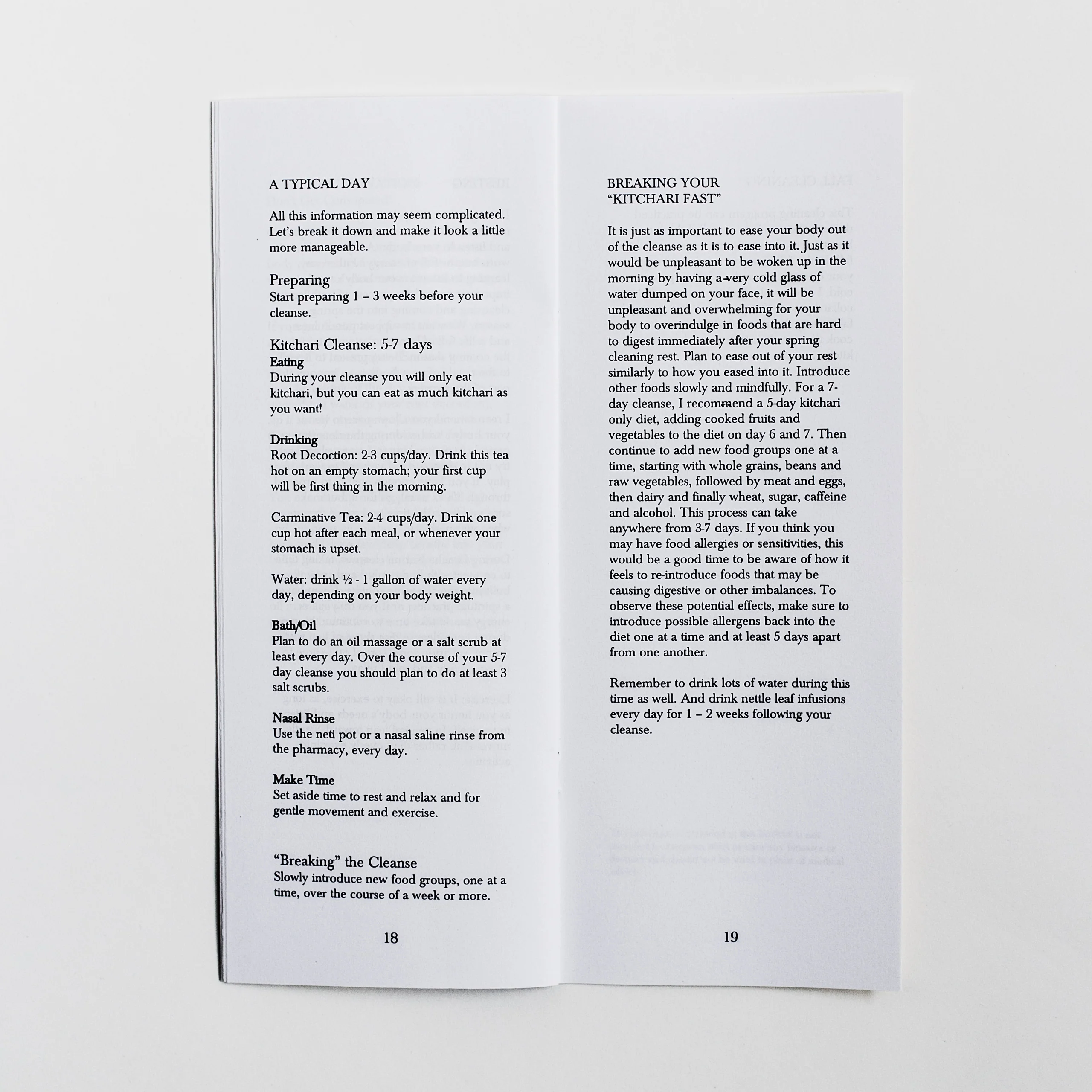 Spring Cleaning Zine - Image 4