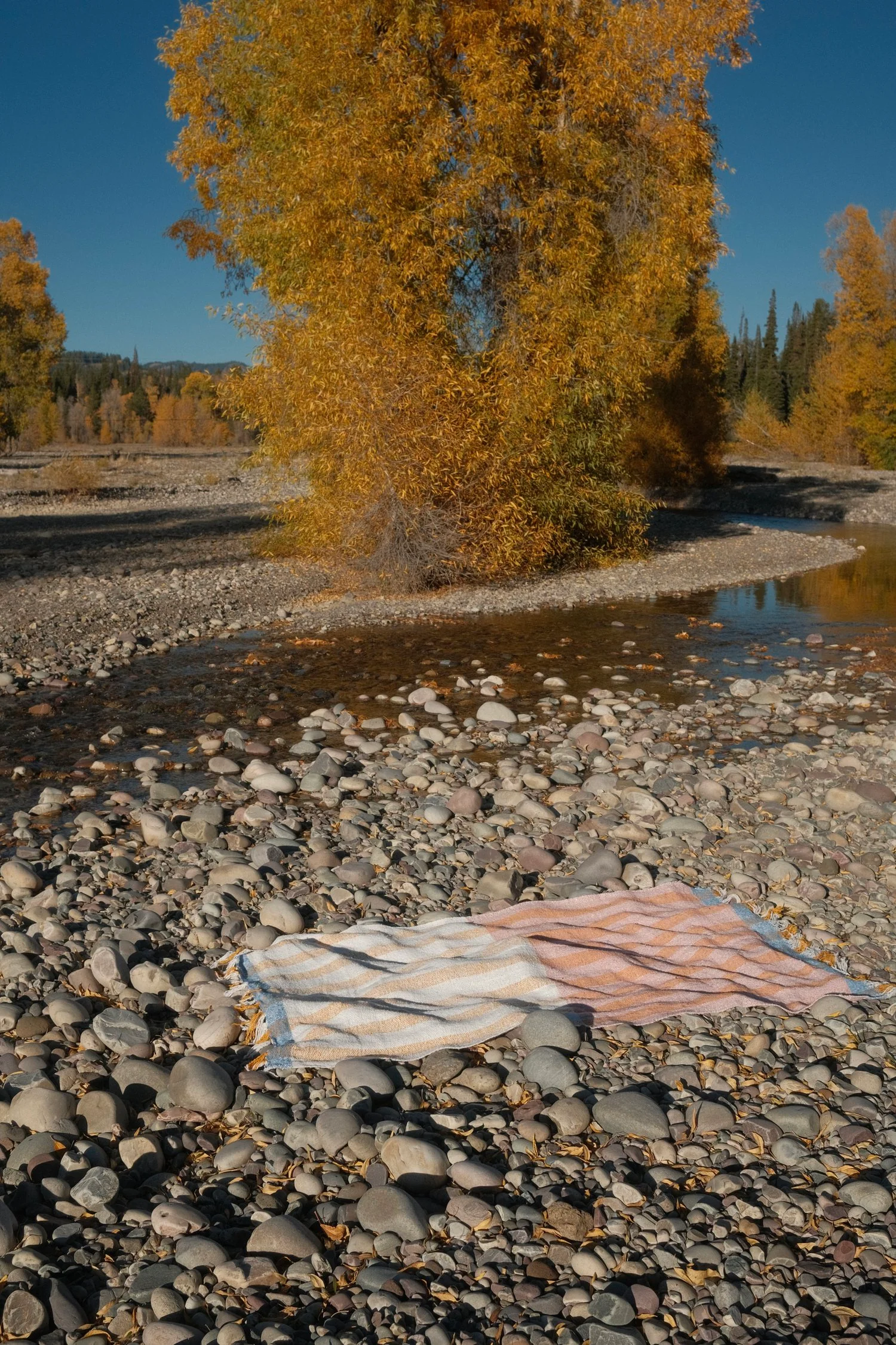 Suave Miel - Woven Blanket - Image 6