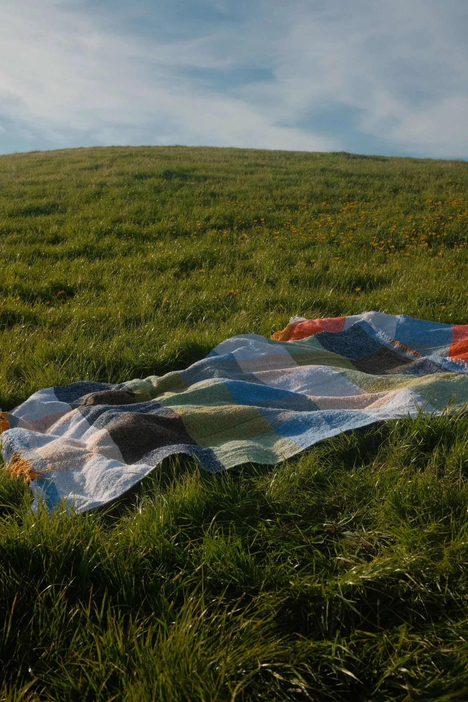 Suave Kiwi - Woven Blanket - Image 5