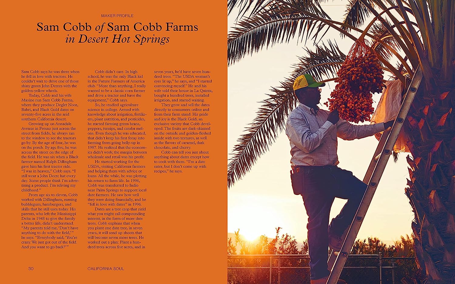 Tanya Holland's California Soul - Image 3