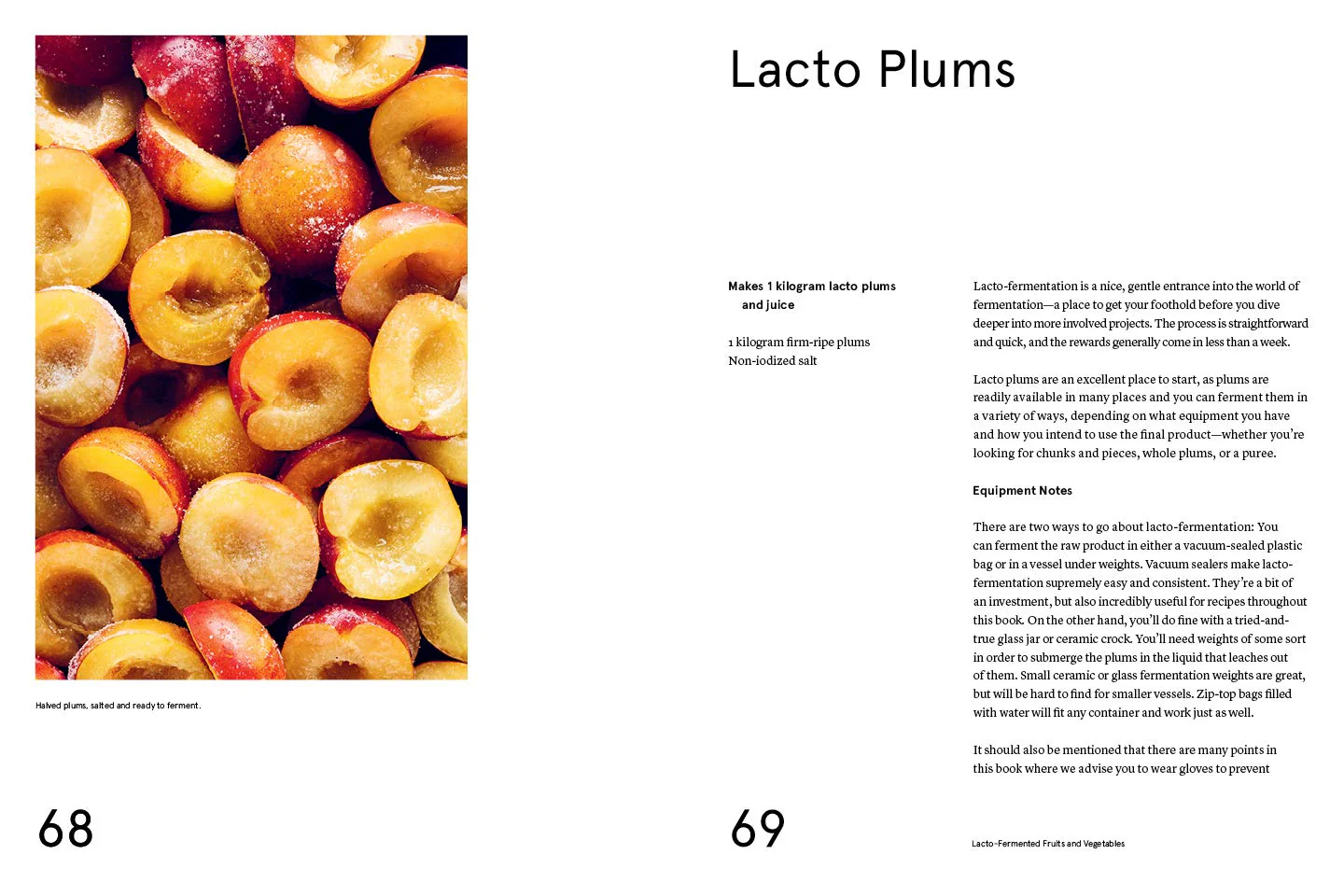 The Noma Guide to Fermentation - Image 3