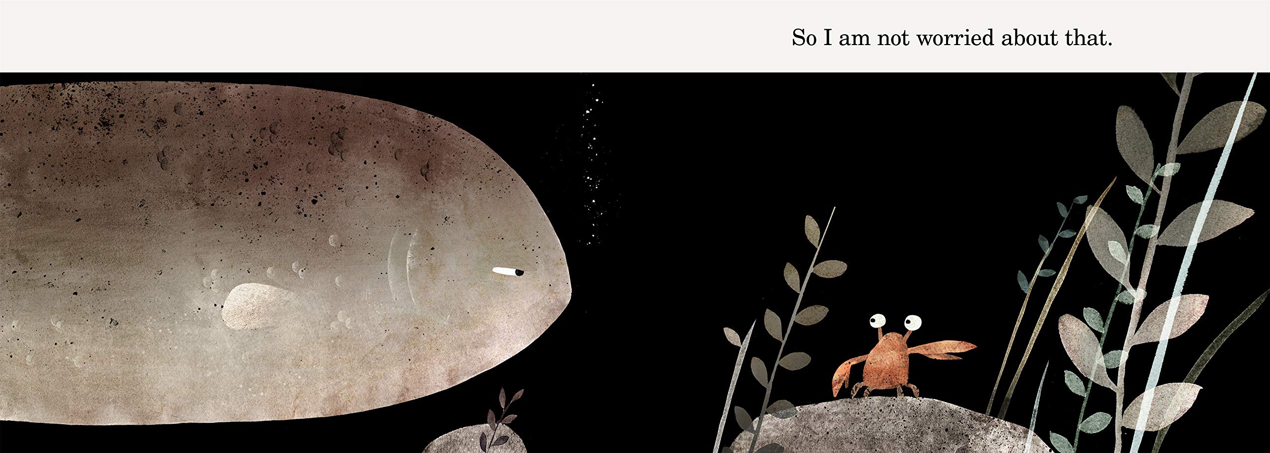This Is Not My Hat - Image 3