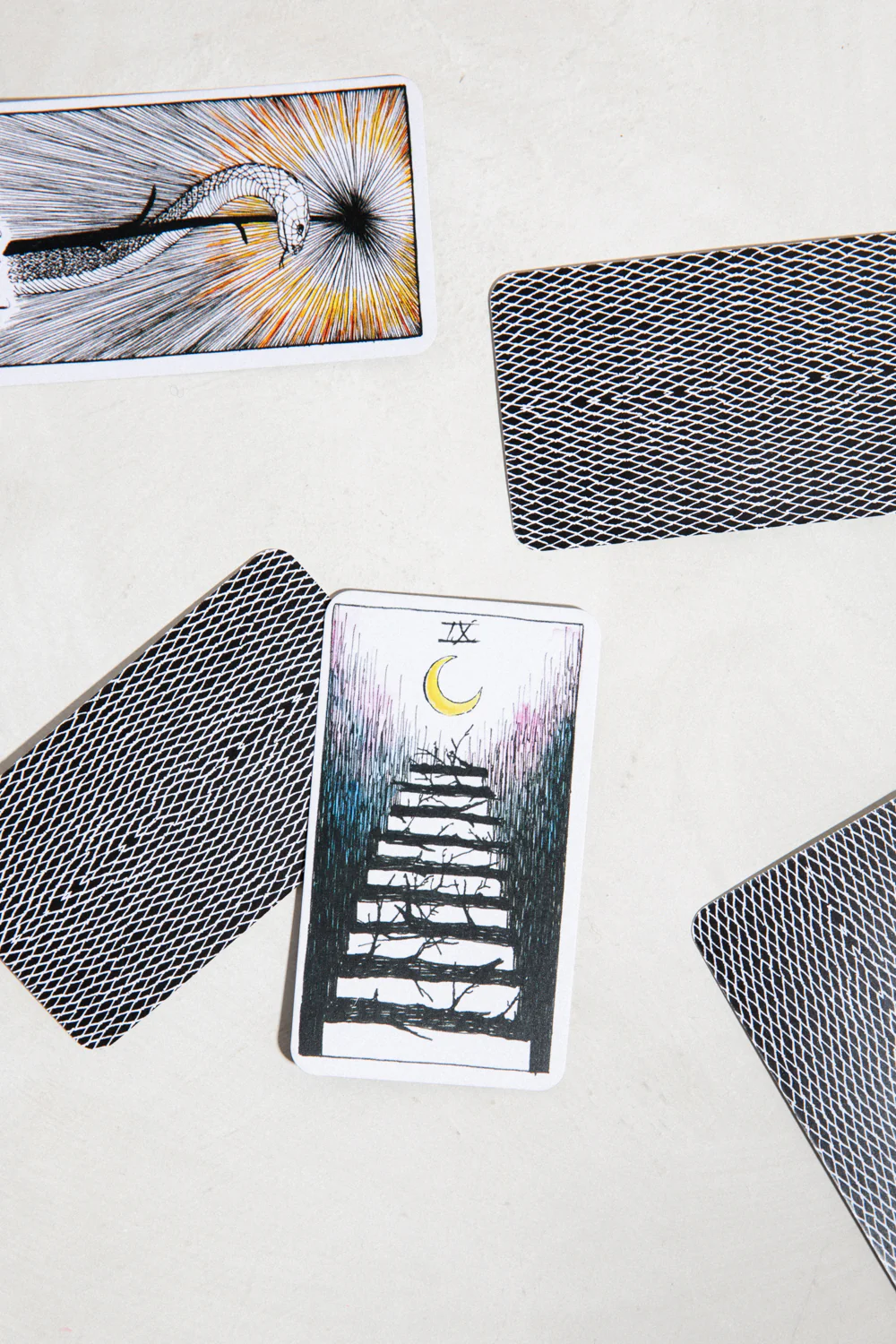 Wild Unknown Pocket Tarot - Image 2
